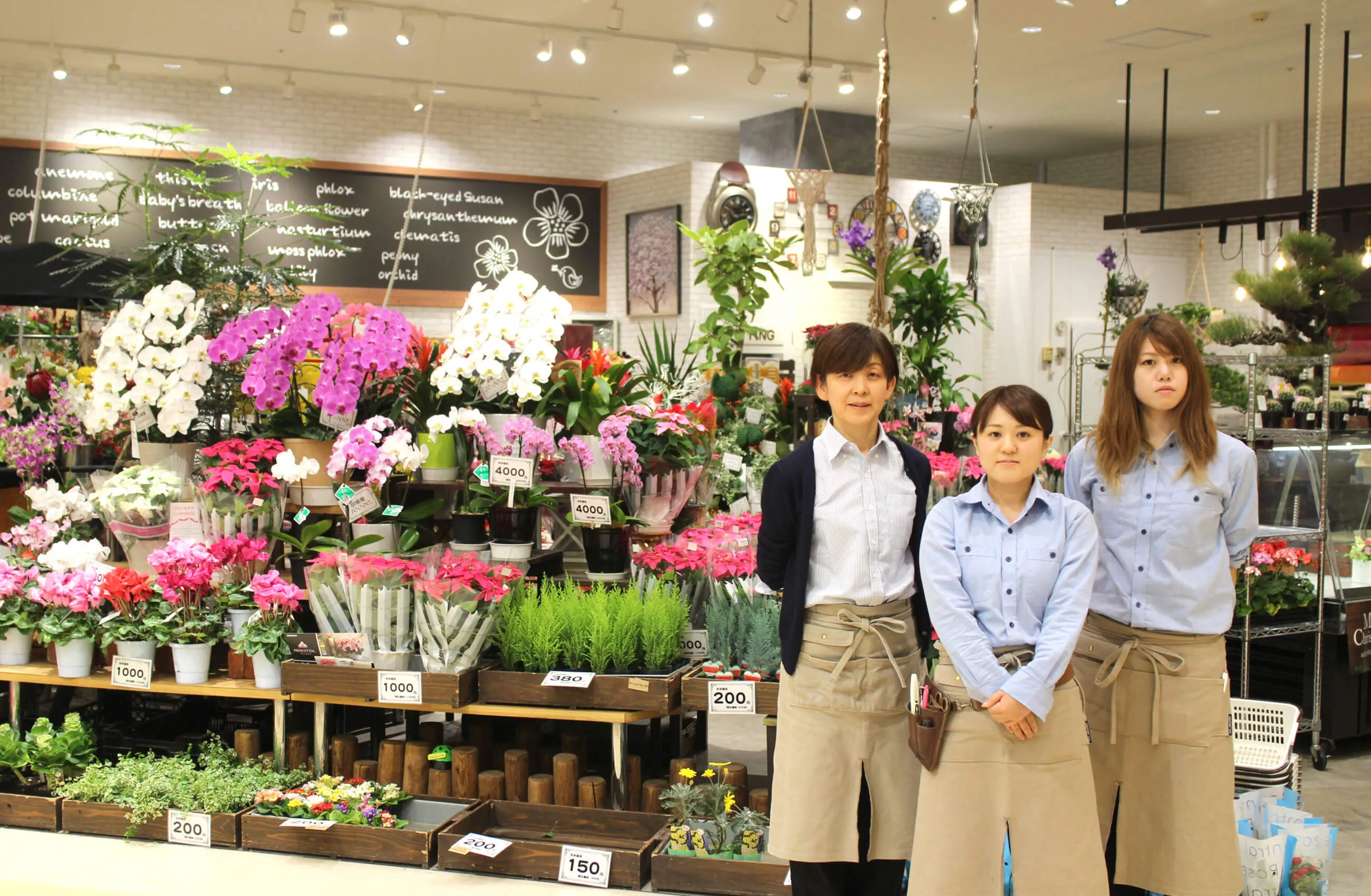 ログキャビンインタビュー