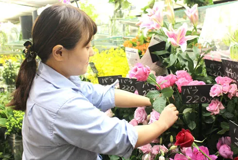ログキャビンインタビュー